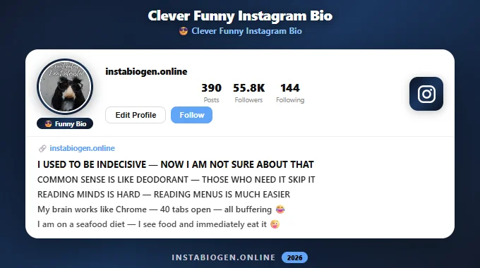 Clever Funny Instagram Bios